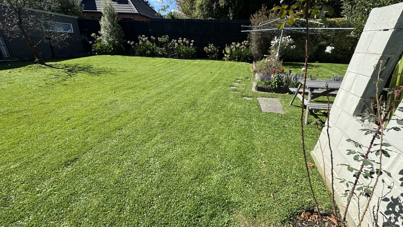 Recent Mike's Mowing job in Christchurch, photo 9