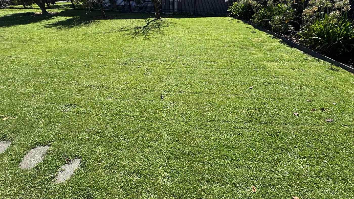Recent Mike's Mowing job in Christchurch, photo 12