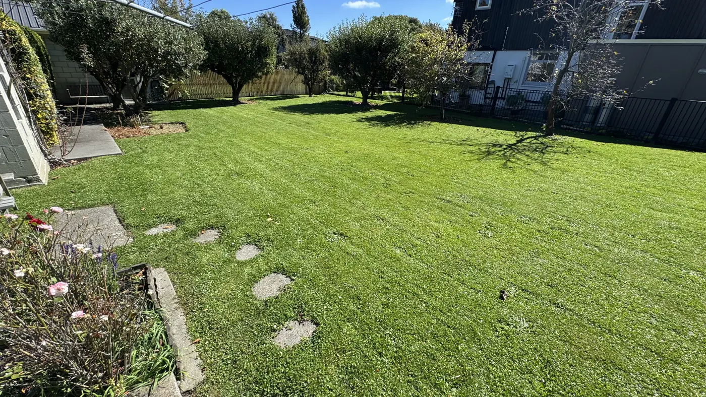 Recent Mike's Mowing job in Christchurch, photo 13