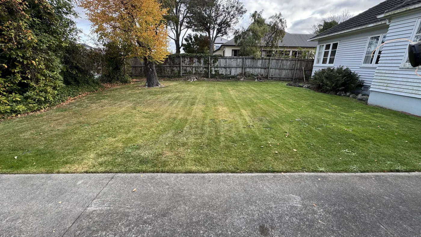 Recent Mike's Mowing job in Christchurch, photo 3